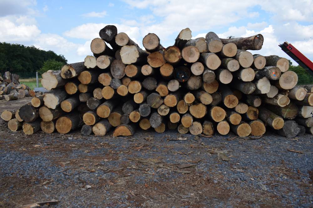 Livraison bois de chauffage PasdeCalais 62